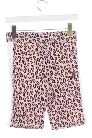 Kinder Shorts PUMA, Größe 15-18y/ 170-176 cm, Farbe Mehrfarbig, Preis 10,52 €