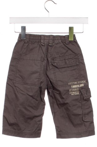 Παιδικό κοντό παντελόνι Timberland, Μέγεθος 4-5y/ 110-116 εκ., Χρώμα Γκρί, Τιμή 12,88 €