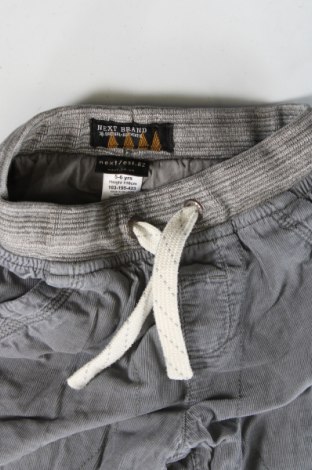 Pantaloni pentru copii Next, Mărime 5-6y/ 116-122 cm, Culoare Gri, Preț 39,03 Lei