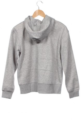Kinder Sweatshirts Tommy Hilfiger, Größe 15-18y/ 170-176 cm, Farbe Grau, Preis € 57,73