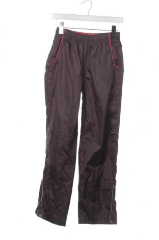 Pantaloni de trening, pentru copii Crane, Mărime 10-11y/ 146-152 cm, Culoare Gri, Preț 18,95 Lei
