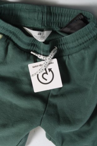 Παιδική κάτω φόρμα H&M, Μέγεθος 3-4y/ 104-110 εκ., Χρώμα Πράσινο, Τιμή 9,82 €