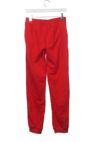 Pantaloni de trening, pentru copii Pepperts!, Mărime 12-13y/ 158-164 cm, Culoare Roșu, Preț 115,13 Lei