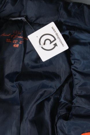 Dětská bunda  H&M L.O.G.G., Velikost 4-5y/ 110-116 cm, Barva Modrá, Cena  214,00 Kč