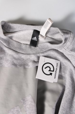Herren Shirt Adidas, Größe S, Farbe Grau, Preis 13,49 €