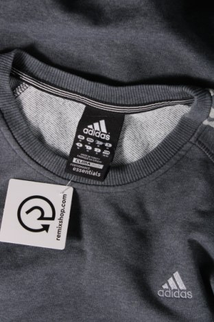 Ανδρική μπλούζα Adidas, Μέγεθος M, Χρώμα Γκρί, Τιμή 21,03 €