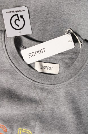 Herren Shirt Esprit, Größe M, Farbe Grau, Preis 19,18 €