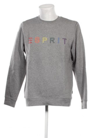 Ανδρική μπλούζα Esprit, Μέγεθος M, Χρώμα Γκρί, Τιμή 11,51 €