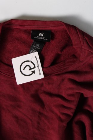 Herren Shirt H&M, Größe L, Farbe Rot, Preis 7,14 €