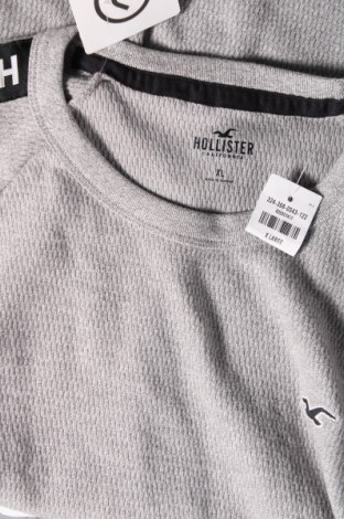 Ανδρική μπλούζα Hollister, Μέγεθος XL, Χρώμα Γκρί, Τιμή 17,26 €