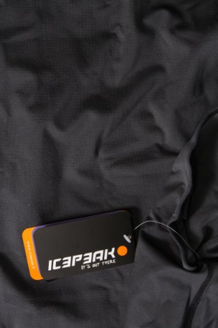 Pánské spodní prádlo Icepeak, Velikost L, Barva Šedá, Cena  504,00 Kč