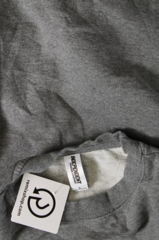 Ανδρική μπλούζα Independent, Μέγεθος L, Χρώμα Γκρί, Τιμή 10,02 €