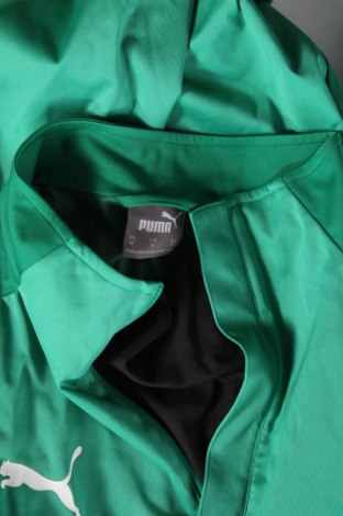 Herren Shirt PUMA, Größe M, Farbe Grün, Preis 23,66 €