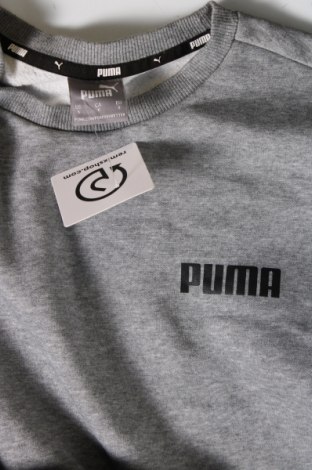 Ανδρική μπλούζα PUMA, Μέγεθος S, Χρώμα Γκρί, Τιμή 21,03 €