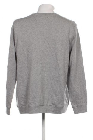 Herren Shirt Reward, Größe XL, Farbe Grau, Preis 5,95 €