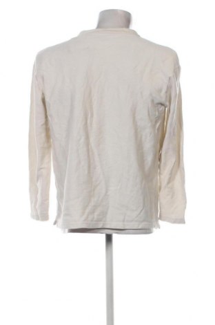 Herren Shirt Tom Tailor, Größe XL, Farbe Beige, Preis 11,27 €