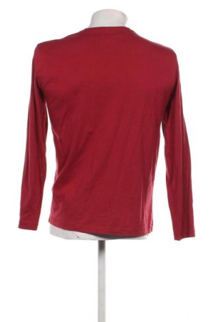 Herren Shirt Tom Tailor, Größe M, Farbe Rot, Preis 11,27 €