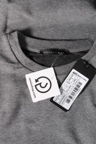Pánske tričko  Trendyol, Veľkosť S, Farba Sivá, Cena  31,96 €