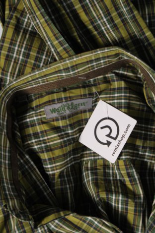 Ανδρικό πουκάμισο, Μέγεθος L, Χρώμα Πράσινο, Τιμή 17,94 €