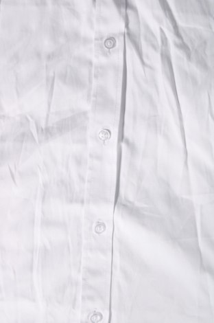 Pánská košile , Velikost L, Barva Bílá, Cena  462,00 Kč