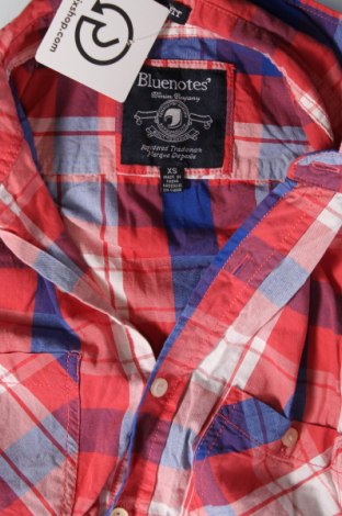 Herrenhemd Bluenotes, Größe XS, Farbe Mehrfarbig, Preis € 2,77