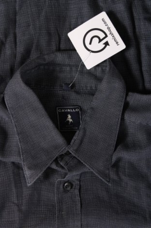 Pánska košeľa  Cavallo, Veľkosť L, Farba Modrá, Cena  8,00 €