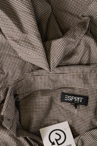 Ανδρικό πουκάμισο Esprit, Μέγεθος M, Χρώμα Πολύχρωμο, Τιμή 7,36 €