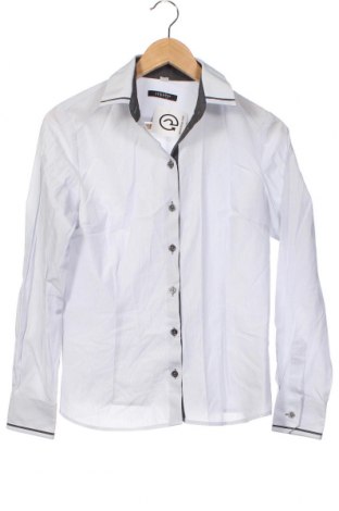 Ανδρικό πουκάμισο Iventi, Μέγεθος L, Χρώμα Μπλέ, Τιμή 6,44 €