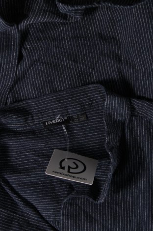 Ανδρικό πουκάμισο Livergy, Μέγεθος L, Χρώμα Μπλέ, Τιμή 10,76 €