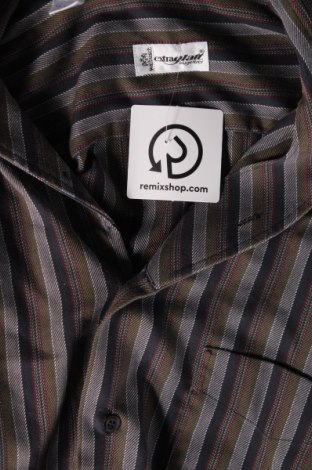 Ανδρικό πουκάμισο Walbusch, Μέγεθος L, Χρώμα Πολύχρωμο, Τιμή 15,68 €