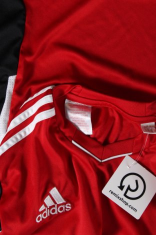 Ανδρικό t-shirt Adidas, Μέγεθος S, Χρώμα Πολύχρωμο, Τιμή 16,70 €