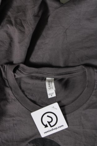 Herren T-Shirt Canvas, Größe M, Farbe Grau, Preis 9,05 €