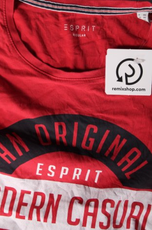 Ανδρικό t-shirt Esprit, Μέγεθος XXL, Χρώμα Κόκκινο, Τιμή 8,66 €
