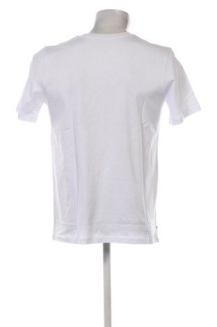 Herren T-Shirt Polo Club, Größe M, Farbe Weiß, Preis 28,87 €