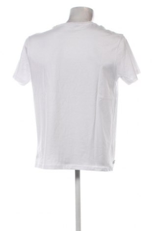 Pánské tričko  Polo Club, Velikost XL, Barva Bílá, Cena  812,00 Kč