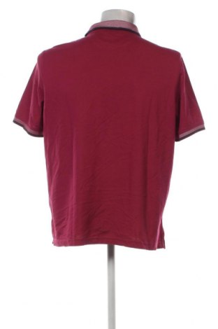 Herren T-Shirt Walbusch, Größe XL, Farbe Rosa, Preis 17,40 €