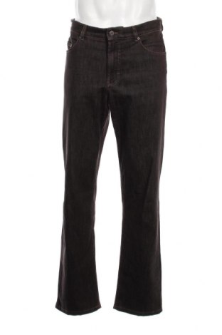 Herren Jeans Brax, Größe L, Farbe Braun, Preis € 7,83