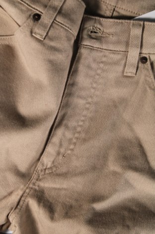 Herren Jeans Colorado, Größe M, Farbe Beige, Preis 8,27 €