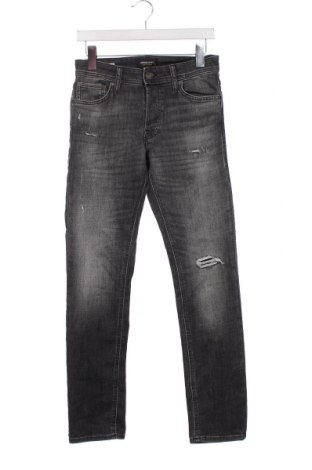 Herren Jeans Jack & Jones, Größe S, Farbe Grau, Preis 14,27 €