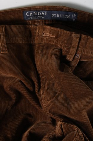 Мъжки джинси Canda, Размер M, Цвят Кафяв, Цена 39,51 лв.