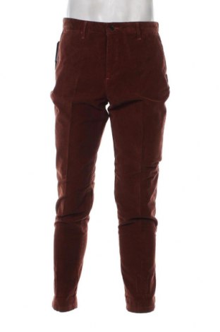 Ανδρικό κοτλέ παντελόνι Liu Jo, Μέγεθος M, Χρώμα Καφέ, Τιμή 47,32 €