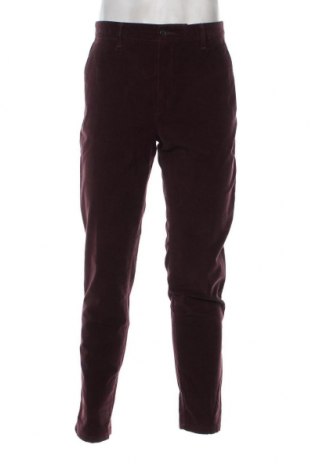 Pantaloni raiați de bărbați Liu Jo, Mărime L, Culoare Mov, Preț 100,66 Lei