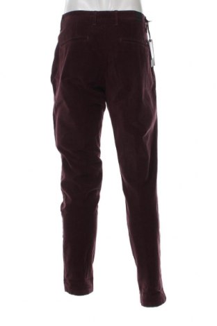 Ανδρικό κοτλέ παντελόνι Liu Jo, Μέγεθος L, Χρώμα Βιολετί, Τιμή 15,77 €