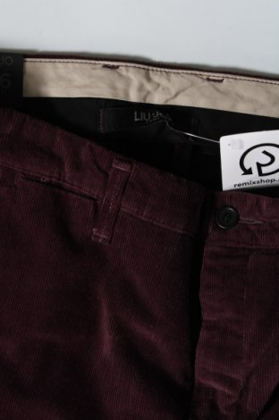 Мъжки джинси Liu Jo, Размер M, Цвят Лилав, Цена 30,60 лв.