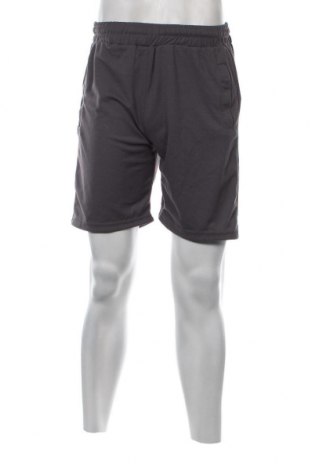 Ανδρικό κοντό παντελόνι, Μέγεθος L, Χρώμα Γκρί, Τιμή 4,70 €