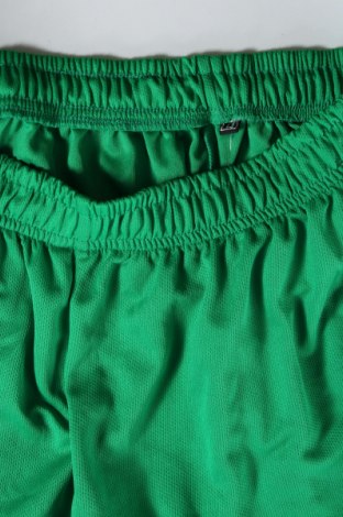 Herren Shorts, Größe L, Farbe Grün, Preis 13,22 €