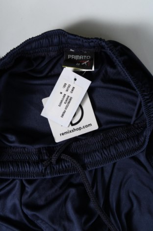 Ανδρικό κοντό παντελόνι, Μέγεθος M, Χρώμα Μπλέ, Τιμή 4,41 €