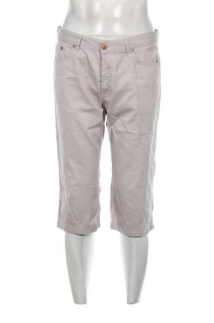 Мъжки къс панталон, Размер L, Цвят Сив, Цена 13,50 лв.