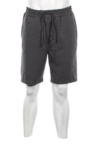 Ανδρικό κοντό παντελόνι, Μέγεθος L, Χρώμα Γκρί, Τιμή 14,84 €