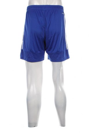 Herren Shorts Adidas, Größe M, Farbe Blau, Preis 28,93 €